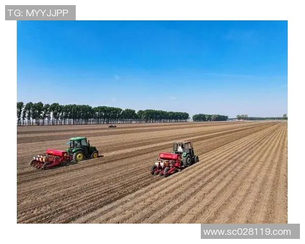 五谷丰登与农业可持续发展：探索传统农作物的未来价值与挑战